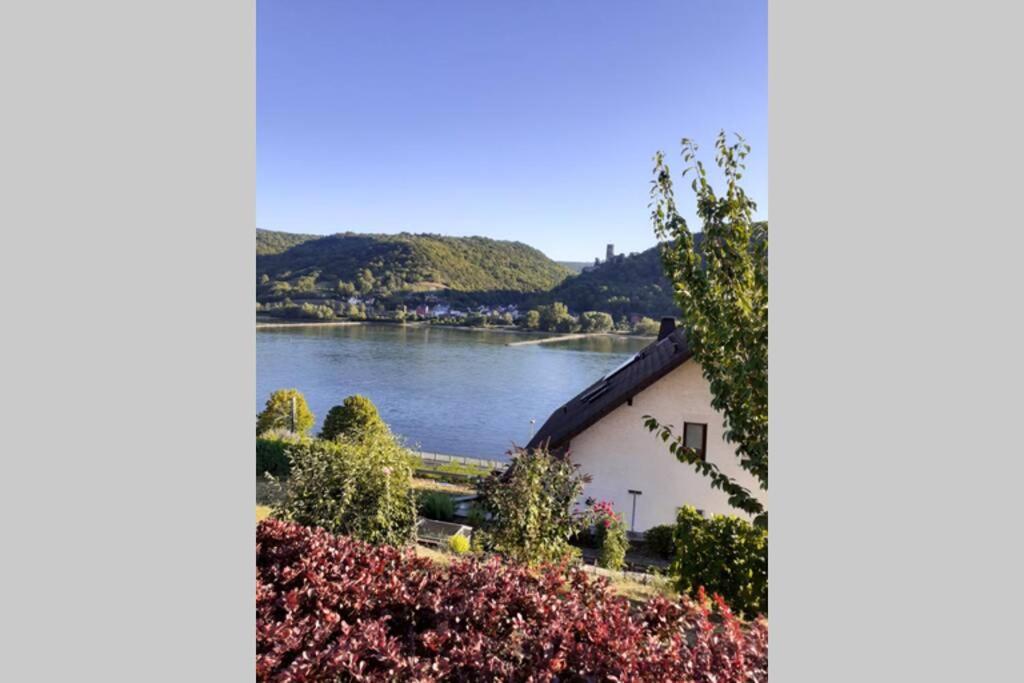 Apartmán Lorch Lorchhausen Mittelrheintal Weltkulturerbe Lorch am Rhein Exteriér fotografie